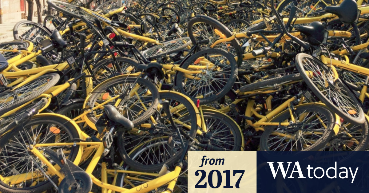 largest bike shop in usa